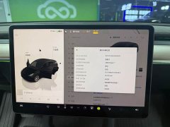 Tesla Model Y Long Range All-Wheel Drive - ფოტო 13