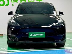 Tesla Model Y Long Range All-Wheel Drive - ფოტო 4