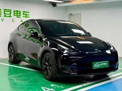 Tesla Model Y Long Range All-Wheel Drive - ფოტო 5