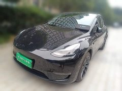 Tesla Model Y Long Range All-Wheel Drive - ფოტო 1