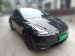 Tesla Model Y Long Range All-Wheel Drive - ფოტო 3