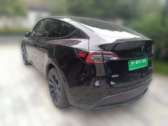 Tesla Model Y Long Range All-Wheel Drive - ფოტო 4