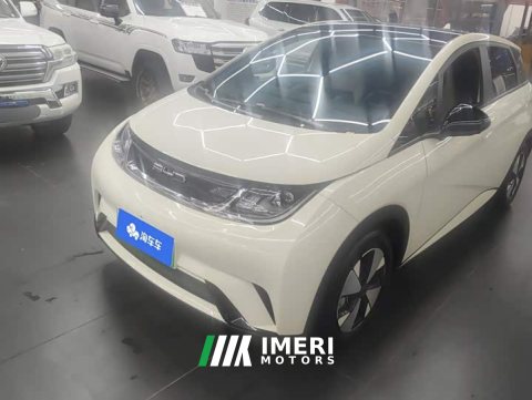 2024 BYD Dolphin 2023 420km Fashion Edition - ავტომობილი ჩინეთიდან