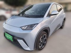BYD Seagull 305km Freedom Edition - ფოტო 1