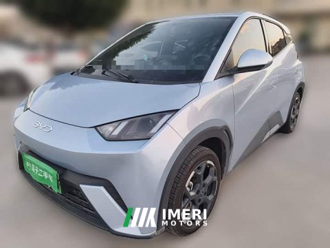 2025 BYD Seagull 305km Freedom Edition - ავტომობილი ჩინეთიდან
