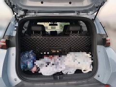 BYD Seagull 305km Freedom Edition - ფოტო 15