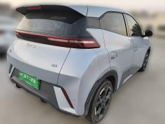 BYD Seagull 305km Freedom Edition - ფოტო 4