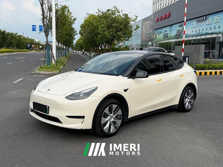 Tesla Model Y Rear-Wheel Drive - ავტომობილი ჩინეთიდან