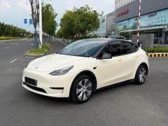 Tesla Model Y Rear-Wheel Drive - ფოტო 1