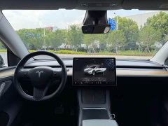 Tesla Model Y Rear-Wheel Drive - ფოტო 8