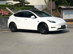 Tesla Model Y Rear-Wheel Drive - ფოტო 3