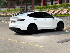 Tesla Model Y Rear-Wheel Drive - ფოტო 7