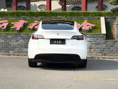 Tesla Model Y Rear-Wheel Drive - ფოტო 8