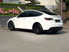 Tesla Model Y Rear-Wheel Drive - ფოტო 9