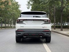 Dongfeng Fengshen AX7 Mach Edition 1.5T DCT DF41 - ფოტო 8