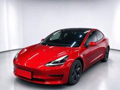 Tesla Model 3 Rear-Wheel Drive - ფოტო 1