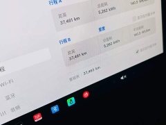 Tesla Model 3 Rear-Wheel Drive - ფოტო 10