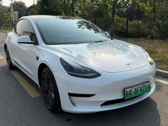 Tesla Model 3 Rear-Wheel Drive - ფოტო 3