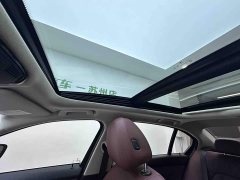 BMW 3 Series 320Li M Sport Package - ფოტო 17