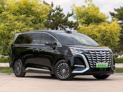 Denza BYD Denza D9 DM-i AWD Premium Navigation Edition - ფოტო 3