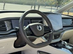 Denza BYD Denza D9 DM-i AWD Premium Navigation Edition - ფოტო 8