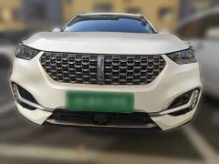 Great Wall WEY VV6 2.0T Two-Wheel Drive Smart Protection - ფოტო 2