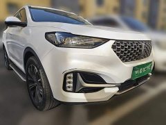 Great Wall WEY VV6 2.0T Two-Wheel Drive Smart Protection - ფოტო 3