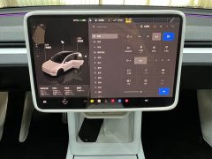 Tesla Model Y 2025 Facelift Long Range All-Wheel Drive - ფოტო 15