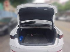 BYD Qin PLUS DM-i Smart Drive Edition 55KM Leading - ფოტო 15