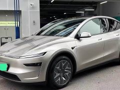 Tesla Model Y L 2025 Long Range All-Wheel Drive - ფოტო 1