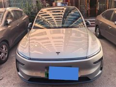 Tesla Model Y L 2025 Long Range All-Wheel Drive - ფოტო 2