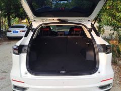 Changan CS55 Plus 2nd Generation 1.5T DCT Premium - ფოტო 4