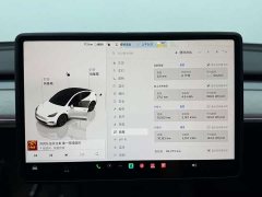 Tesla Model Y Rear-Wheel Drive - ფოტო 8