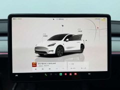 Tesla Model Y Rear-Wheel Drive - ფოტო 9