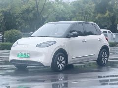 Wuling Binguo 333km Joy Edition - ფოტო 1