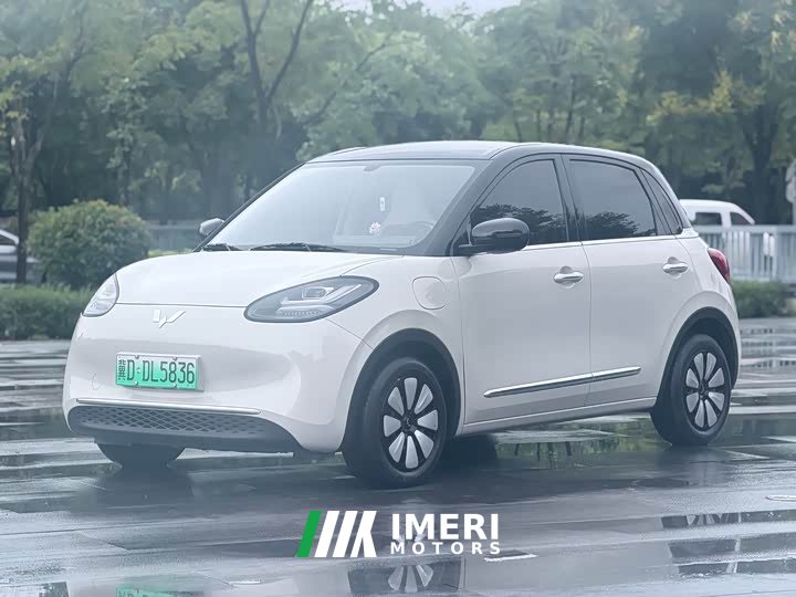 Wuling Binguo 333km Joy Edition