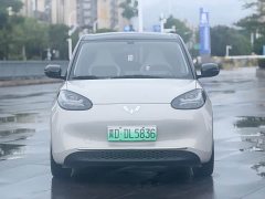 Wuling Binguo 333km Joy Edition - ფოტო 2