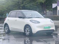 Wuling Binguo 333km Joy Edition - ფოტო 3