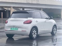 Wuling Binguo 333km Joy Edition - ფოტო 4