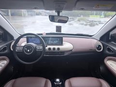 Wuling Binguo 333km Joy Edition - ფოტო 9