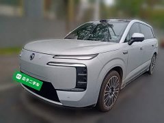 Denza BYD Denza N8L Flagship - ფოტო 1