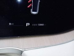 Denza BYD Denza N8L Flagship - ფოტო 8