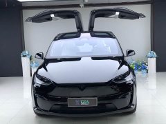 Tesla Model X Dual Motor All-Wheel Drive - ფოტო 2