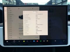 Tesla Model X Dual Motor All-Wheel Drive - ფოტო 20