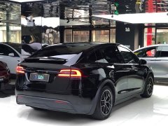 Tesla Model X Dual Motor All-Wheel Drive - ფოტო 7