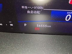 Volkswagen Sagitar 300TSI DSG Excellence Edition - ფოტო 13