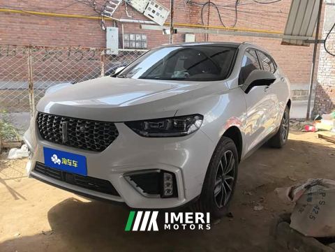 2021 Great Wall WEY VV5 1.5T Two-Wheel Drive Color Pioneer - car from China