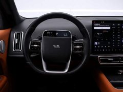 Li Auto L9 2022 Max - ფოტო 7