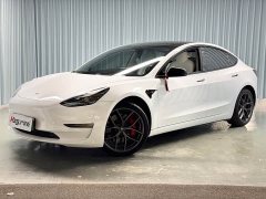 Tesla Model 3 Performance All-Wheel Drive - ფოტო 1