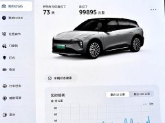 NIO ES6 2023 75kWh - ფოტო 19